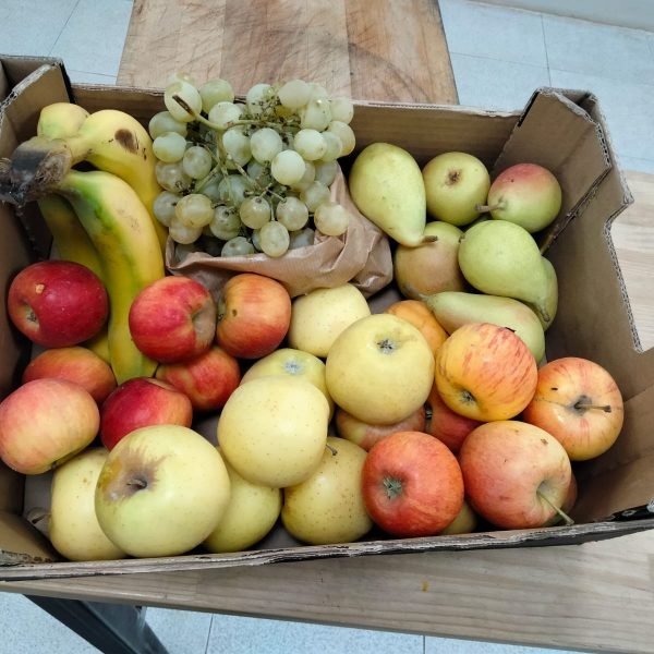 Caja de fruta ecológica de Més que Horta en Ontinyent